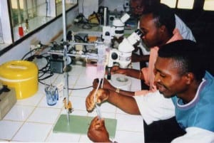 Nge-Lab-L3-komp