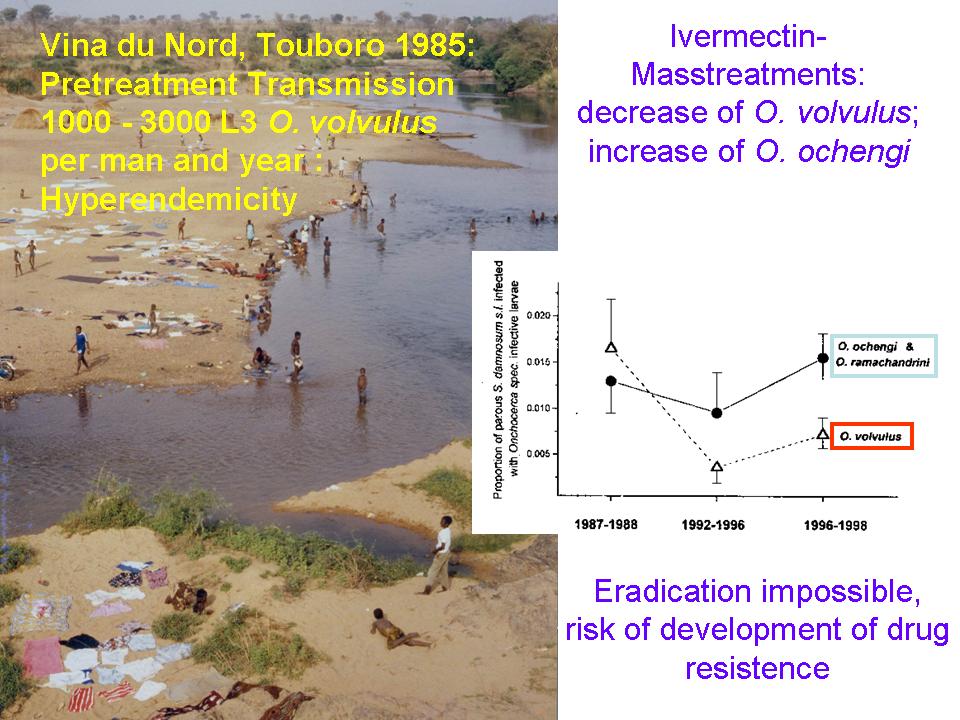 Ivermectin-Masstreatments-results-Renz