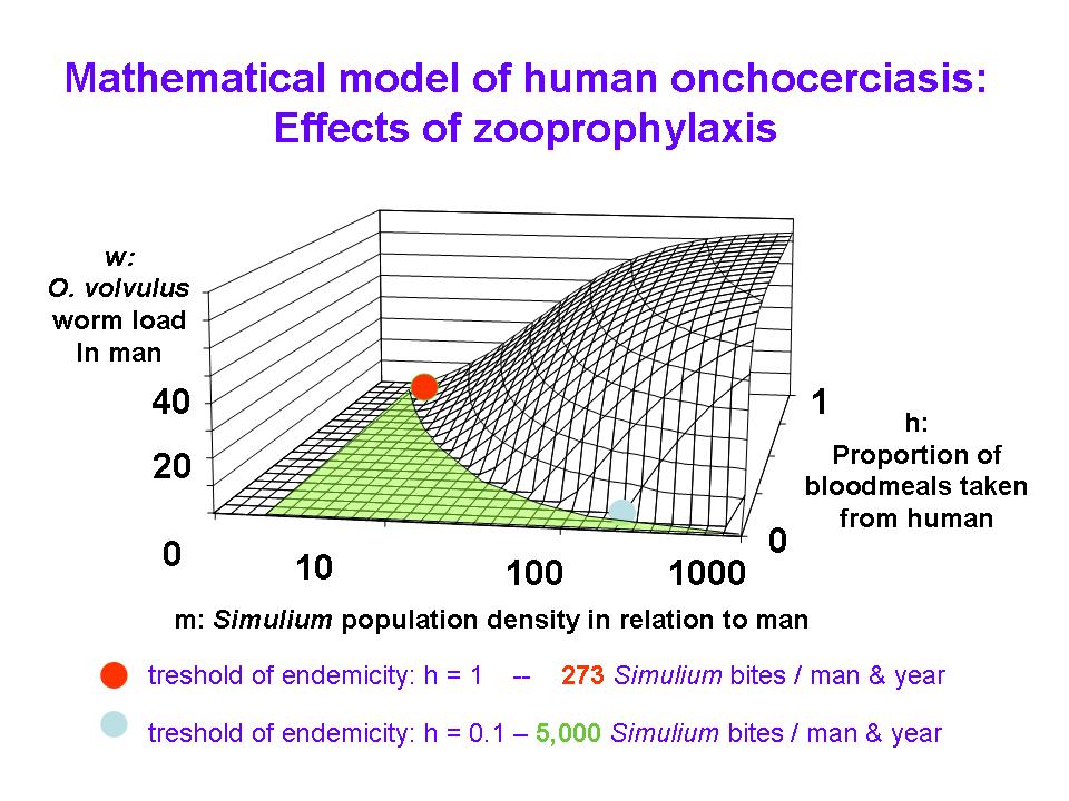 Math-model-zooprphyl-Renz