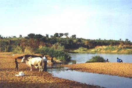 Campement du Syrien at river Vina du Nord