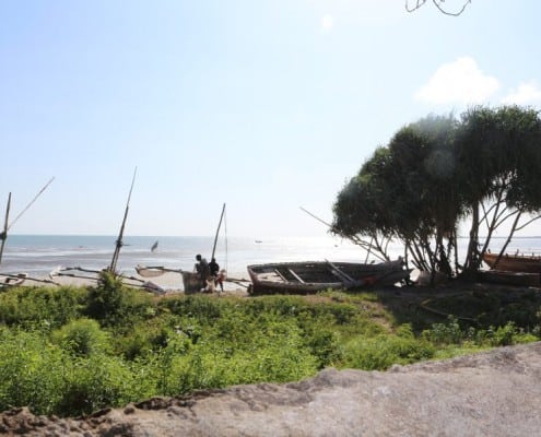 DFG Dar es Salaam 2014 Bagamoyo-5