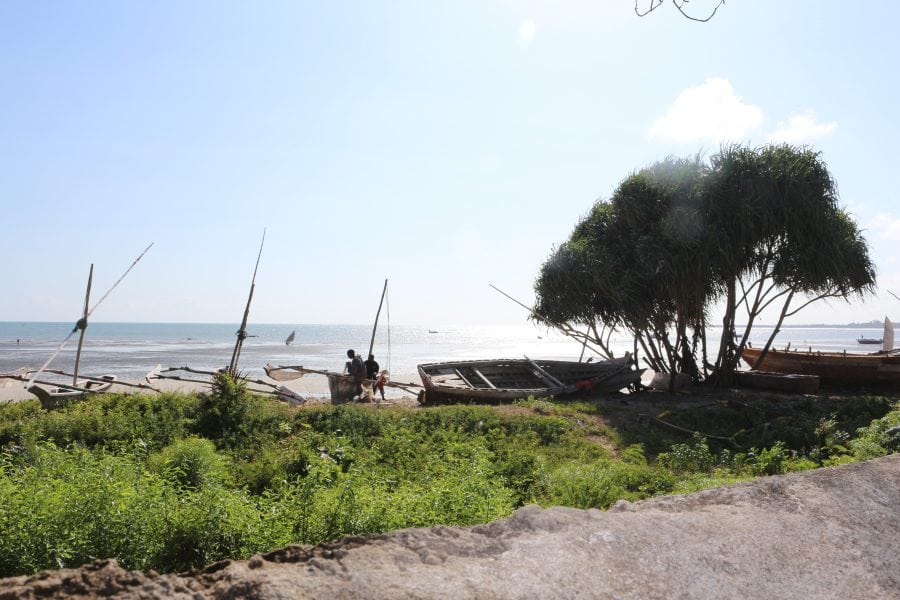 DFG Dar es Salaam 2014 Bagamoyo-5