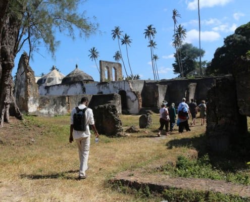 DFG Dar es Salaam 2014 Zanzibar-castle-1
