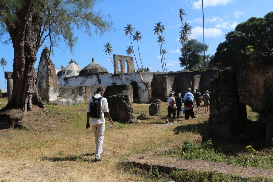 DFG Dar es Salaam 2014 Zanzibar-castle-1
