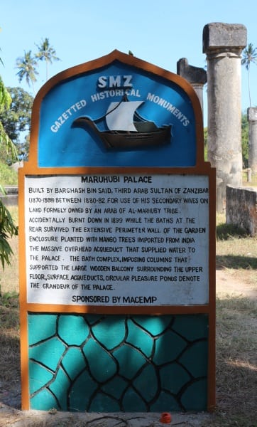 DFG Dar es Salaam 2014 Zanzibar-castle-2