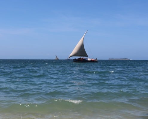 DFG Dar es Salaam 2014 Zanzibar-coast