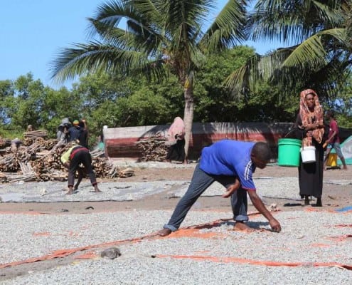 DFG Dar es Salaam 2014 Zanzibar-drying-fish