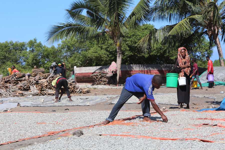 DFG Dar es Salaam 2014 Zanzibar-drying-fish