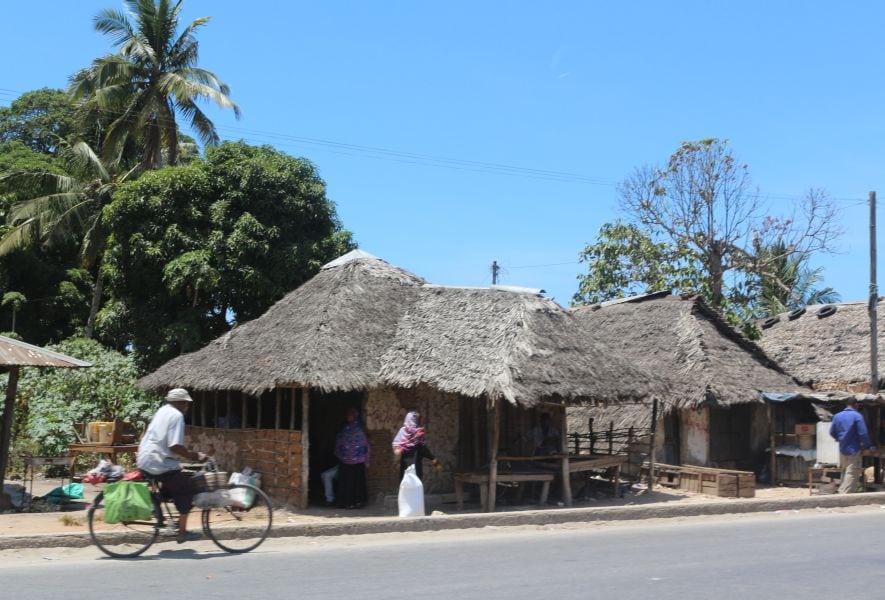 DFG Dar es Salaam 2014 Zanzibar-houses