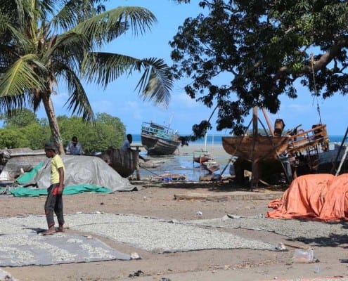 DFG Dar es Salaam 2014 Zanzibar-old-habour-1