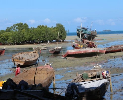 DFG Dar es Salaam 2014 Zanzibar-old-habour-3