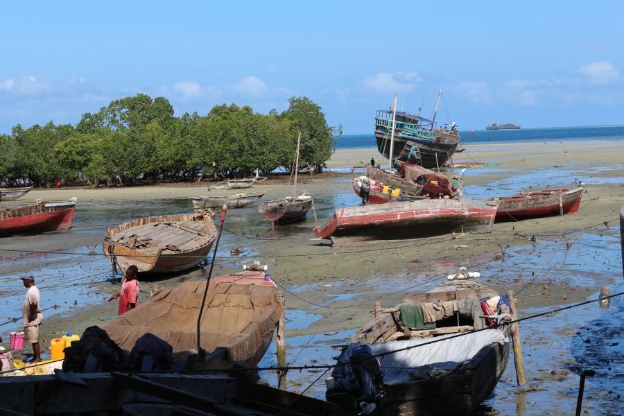 DFG Dar es Salaam 2014 Zanzibar-old-habour-3