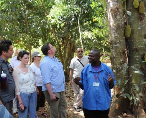 DFG Dar es Salaam 2014 Zanzibar -plantation-2-jackfruit-tree