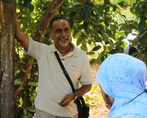 DFG Dar es Salaam 2014 Zanzibar -plantation-Mr-Katton