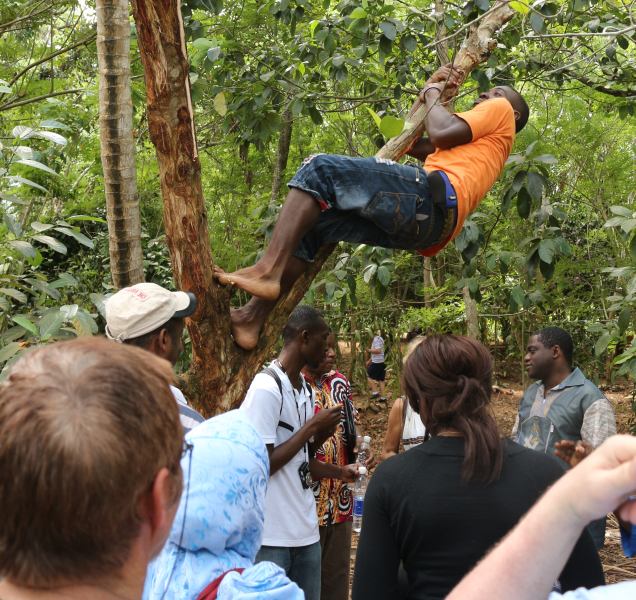 DFG Dar es Salaam 2014 Zanzibar -plantation-neem-tree