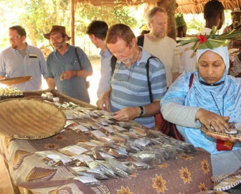 DFG Dar es Salaam 2014 Zanzibar -plantation-spices-1