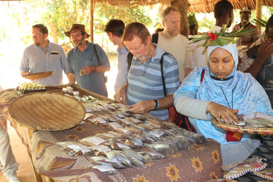 DFG Dar es Salaam 2014 Zanzibar -plantation-spices-1