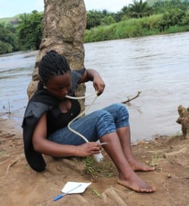 Bamenda Menchum valley - Clarissa -fly-catching