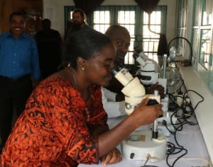 Flore's lab