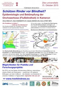 UT-research-2015-Dies universitatis-RENZ