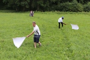 Tick-flags