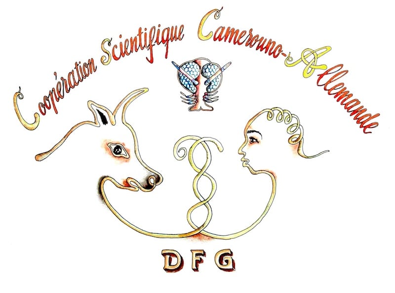 CSCA DFG Logo CSCA DFG Logo